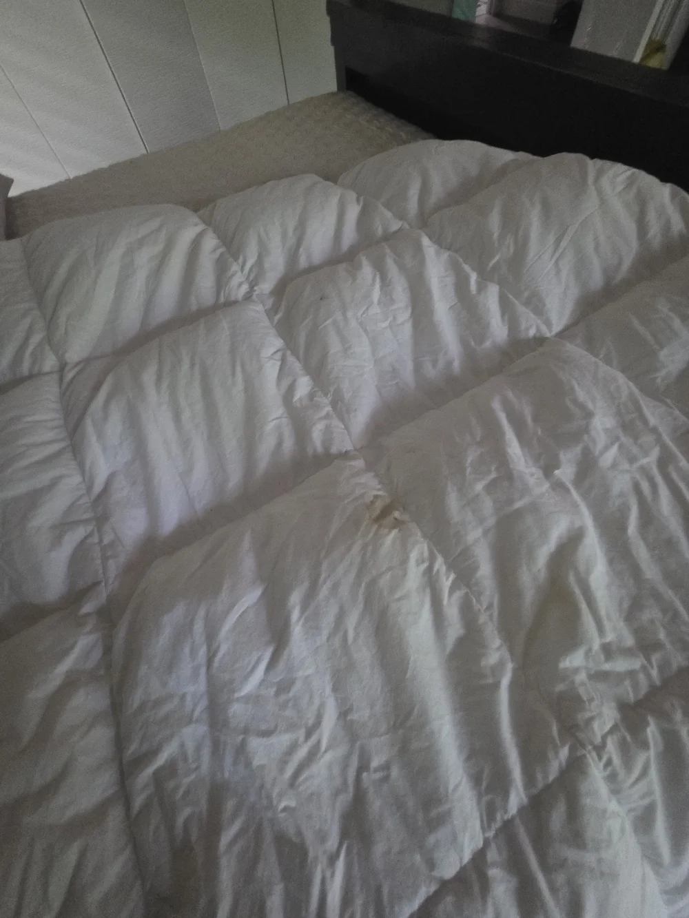 White Down Alternative Comforter - Cozy  Bedding